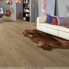 Joka Design 555 - Spring Oak 5509 | Klebe-Vinylboden