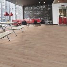 Forbo Allura 70 - Light Honey Oak 60305DR7 | Klebe-Vinylboden