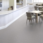 Gerflor Troplan - Light Grey 1009 | Rollenware