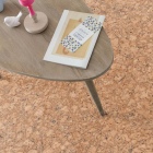 Gerflor Booster - Cork Naturel 0027 | Rollenware