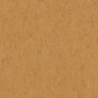 Tarkett Veneto Essenza+ - Amber 1805636 | Linoleum