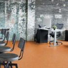 Tarkett Veneto Essenza+ - Amber 1805636 | Linoleum