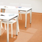 Tarkett Veneto Essenza+ - Amber 1805636 | Linoleum