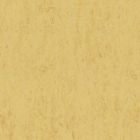 Tarkett Veneto Essenza+ - Corn 1805612 | Linoleum