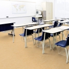 Tarkett Veneto Essenza+ - Eggshell 1805619 | Linoleum