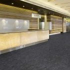 Tarkett Veneto Essenza+ - Graphite 1805906 | Linoleum