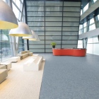 Tarkett Veneto Essenza+ - Horizon 1805663 | Linoleum