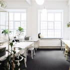 Tarkett Veneto Essenza+ - Slate 1805674 | Linoleum