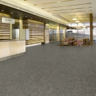 Tarkett Veneto Essenza+ - Smoke 1805608 | Linoleum