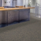 Tarkett Veneto Essenza+ - Smoke 1805608 | Linoleum