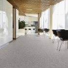 Tarkett Veneto Essenza+ - Storm 1805702 | Linoleum