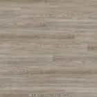 Joka Classic Design 555 - Ivory Elm 5513 | Vinylboden