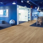 Forbo Allura 55 - Natural Giant Oak 60284DR5 | Klebe-Vinylboden