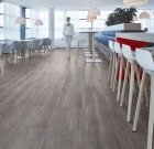 Forbo Allura Flex 100 - Grey Collage Oak 60375FL1 | selbstliegender Vinylboden
