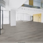 Forbo Allura Flex 100 - Grey Giant Oak 60280FL1 | selbstliegender Vinylboden