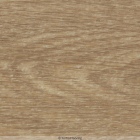 Forbo Allura Click - Natural Giant Oak 60284CL5 | Klick-Vinylboden