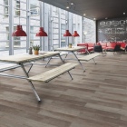 Forbo Allura Click - Grey Autumn Oak 60356CL5 | Klick-Vinylboden