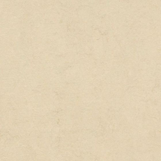 Forbo Marmoleum Click - Barbados 333858 | Klick-Linoleum | Fliese: 300 x 300mm