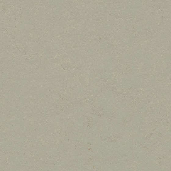 Forbo Marmoleum Click - Orbit 333724 | Klick-Linoleum | Fliese: 300 x 300mm