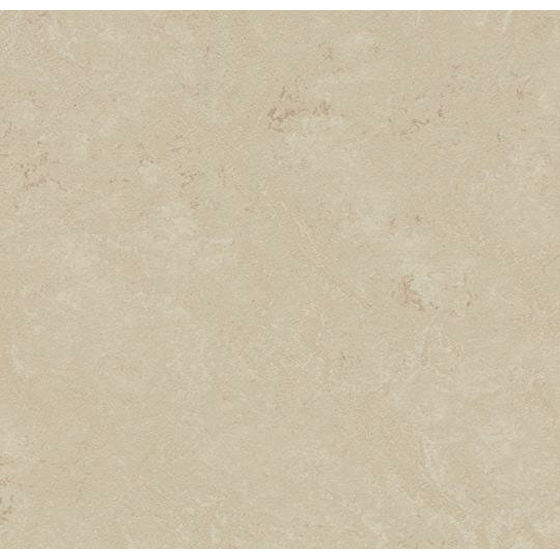 Forbo Marmoleum Click - Cloudy Sand 633711 | Klick-Linoleum Fliese: 600 x 300mm