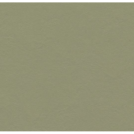 Forbo Marmoleum Click - Rosemary Green 333355 | Klick-Linoleum