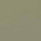 Forbo Marmoleum Click - Rosemary Green 333355 | Klick-Linoleum