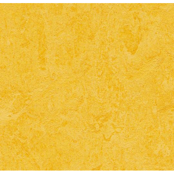 Forbo Marmoleum Click - Lemon Zest 333251 | Klick-Linoleum