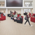 Forbo Marmoleum Modular Linear - Rocky Ice t5232 | Linoleum