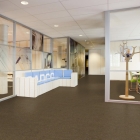 Forbo Forte - Desert 96005 | Nadelvlies