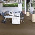 Forbo Forte - Desert 96005 | Nadelvlies