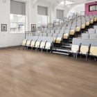 Designflooring Opus - Niveus WP411 | Klebe-Vinylboden