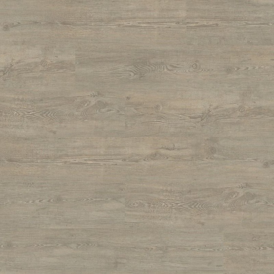 Wicanders Hydrocork Plus - Wheat Pine 80002775 | Klick-Korkboden
