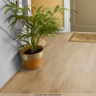 Joka Design 340 Click - Golden Pine 855 | SPC-Klickvinyl