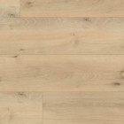 Wineo 1500 wood XL - Village Oak Cream PL087C | BioBoden
