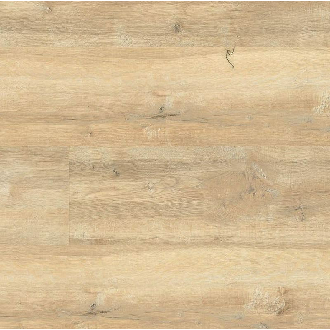 | Wineo - wood 1500 Oak PL092C Cream XL Bio-Vinylboden Fashion