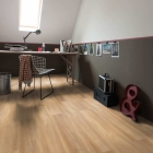 Gerflor Collection 30 - Bostonian Oak Honey 0851 | Klebe-Vinylboden
