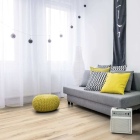 Gerflor Collection 55 - Cedar Pure 0849 | Klebe-Vinylboden