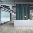 Gerflor Collection 55 Solid Clic - Stripe Oak Ice 0858 | Rigid-Klickvinyl