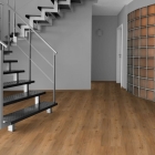 KWG Antigua Novel - Bergeiche Natur 910007 | Klick-Vinylboden