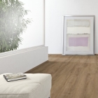 KWG Antigua Professional - Brauneiche 790005 | Klebe-Vinylboden