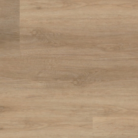 KWG Antigua Professional - Schindeleiche 790006 |...