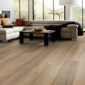 KWG Antigua Professional - Schindeleiche 790006 |...