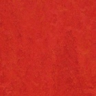 Forbo Marmoleum Modular Colour - Scarlet t3131 | Linoleum