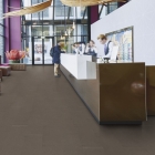 Forbo Marmoleum Modular Shade - Delta Lace t3568 | Linoleum