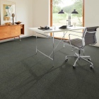 Tretford Interland - Salbei 519 | Natur-Teppichfliese aus Ziegenhaar