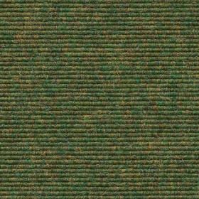 Tretford Interland - Farn 556 | Natur-Teppichfliese aus...