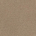 Forbo Tessera Basis Pro - 4368 Beige | Teppichfliese