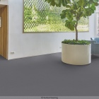Forbo Tessera Layout - 2108 Calcium | Teppichfliese
