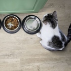 Gerflor Senso Clic 3 - Pecan Nature 0950 | Rigid-Klickvinyl