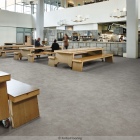 Forbo Allura Flex 100 - Grigio Concrete 62513FL1 | selbstliegender Vinylboden | Fliese: 1000 x 1000mm